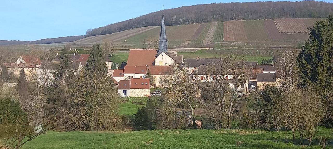 Gite Du Bel Air Festigny  Zewnętrze zdjęcie