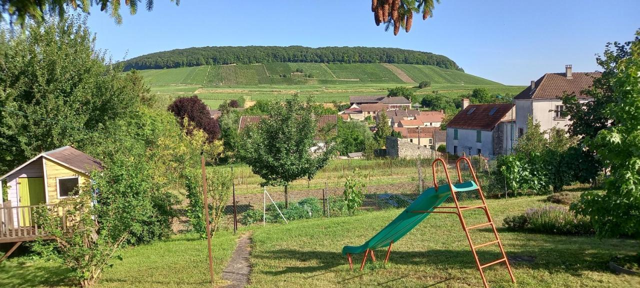 Gite Du Bel Air Festigny  Zewnętrze zdjęcie